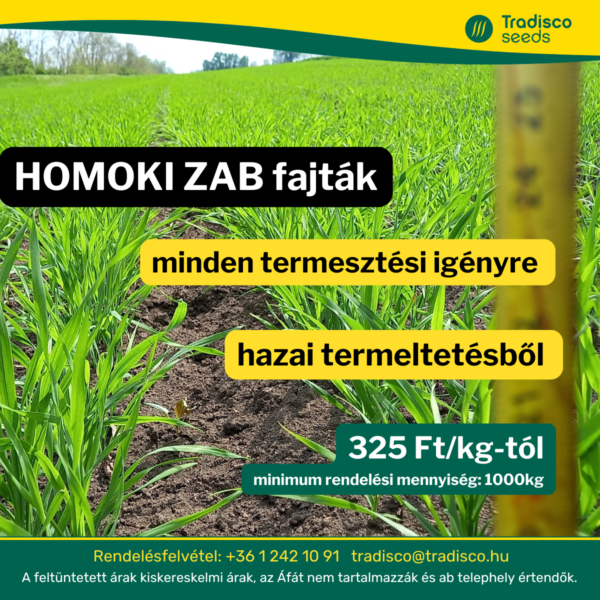 vetőmag homokizab homoki zab